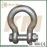 Us Type Drop Forged Bow Shackle (EG/HDG)