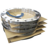(PL) Stainless Steel Flange Forged Flange Plate-3