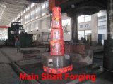 Free Forging Stainless Steel Flange