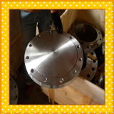 310S Stainless Flange
