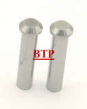 Fastener Accessories Cold Forging Mould (BTP-A099)