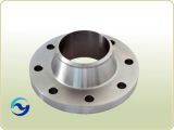 Pipefitting Stainless Steel Pipe Flange