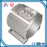 Good After-Sale Service Alloy Aluminum Die Casting (SY0632)