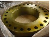 Big Size Flanges in 900#