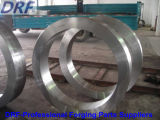 Od1000mm-Od5000mm Alloy Steel Large Axis Forging