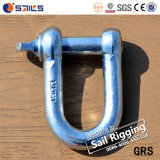 Forging Carbon Steel Galvanized European Type Large Dee Shackle