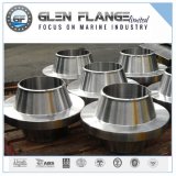 Stainless Steel Forged Anchor Flange