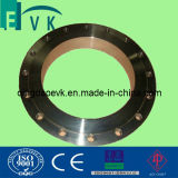 Forged Black/Carbon/Stainless Steel Flat Face Flange