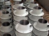Iron Casting Clamping Flange (6