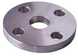 Stainless Steel Flanges (Plate)