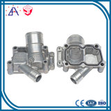 Die Casting Mold and Samples and Plastic Finish (SYD0468)