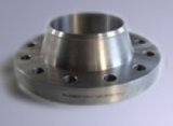 Casting Flanges -WN