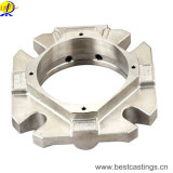OEM Custom Precision Stainless Steel Casting (304 316 316L)