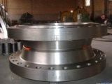 Special Customized Flange