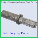 Cold Extrusion Cold Forging Parts for Auto Spare Parts