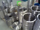 ANSI Forged Stainless Steel Flange Manufacturer