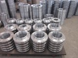 WN Stainless Steel Flange