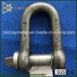 Cold Forging Steel BS3032 Large Dee Shackle