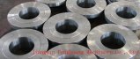 Various Used AISI Forging Ring
