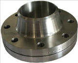 Forged Carbon Steel and Stainless Steel Flanges