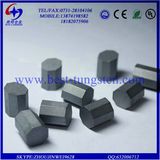 Tungsten Carbide Cold Forging Dies / Strips / Buttons