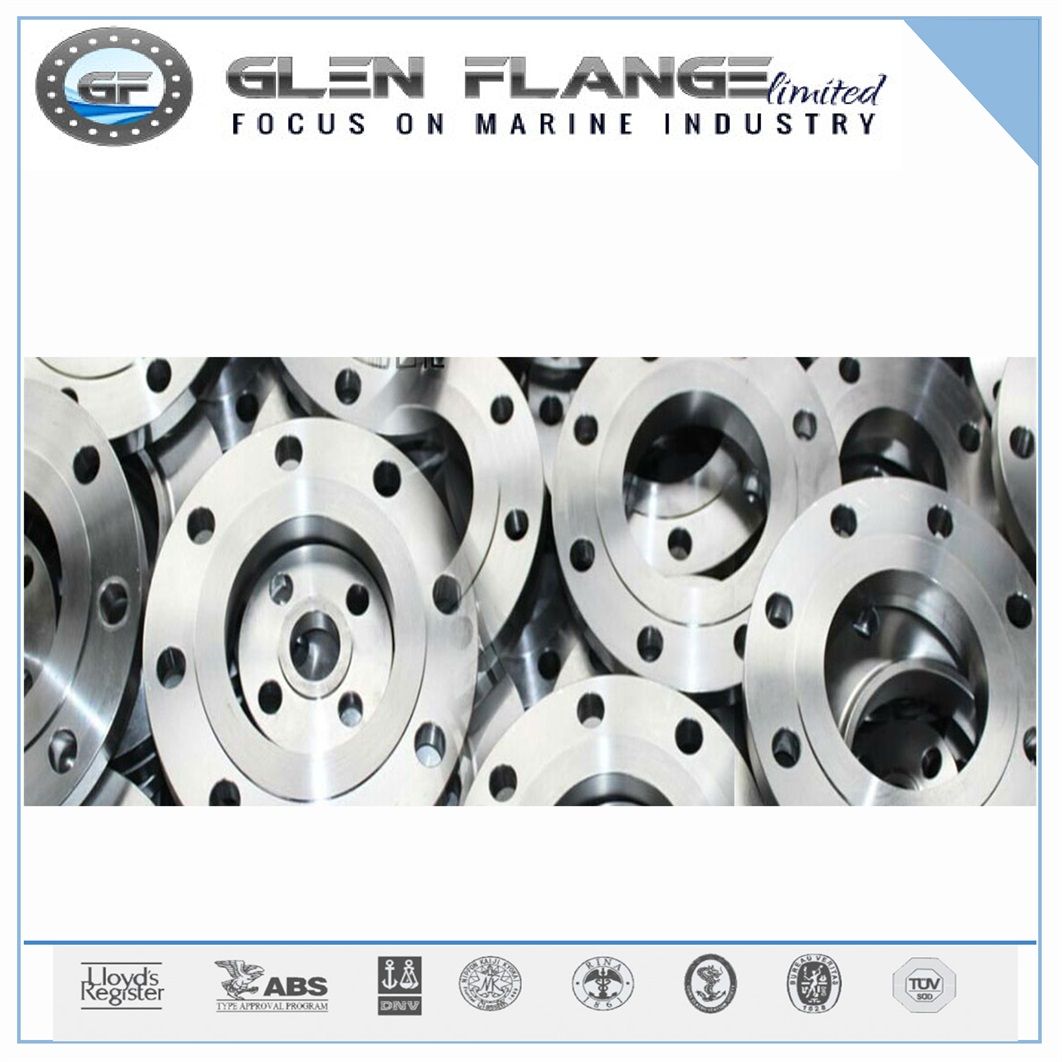 Duplex Steel Flange with Dnv Certification