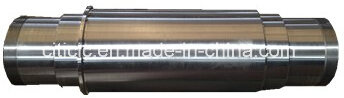 BV, SGS, ISO9001: 2008 Certified Forging Shafts