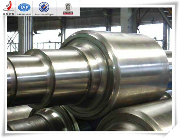 High Quality Revolving Shaft Forging