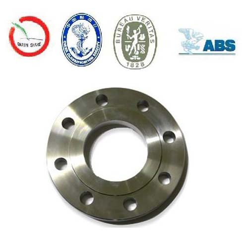 Forging Rings/Stainless Rings