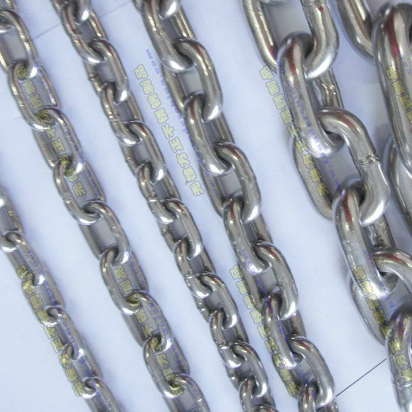 Stainless Steel Australian Short Chain