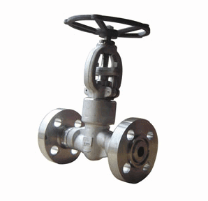 Forging Steel Flange Globe Valve