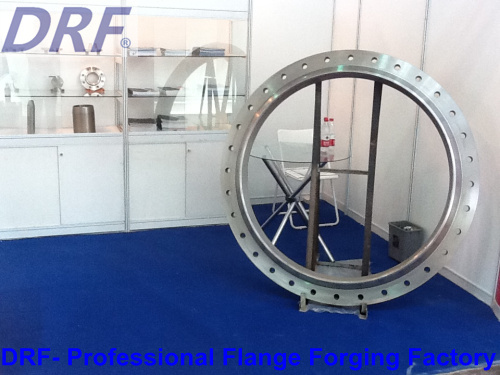 DIN Flange, Auto Parts, Forging Flange