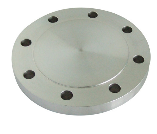 Forged Stainless Steel Blind Flanges