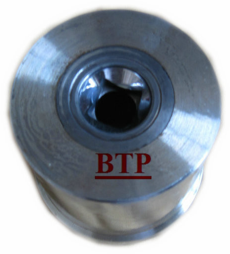 Cold Forging Tools Fastener Screw Mould (BTP-D235)