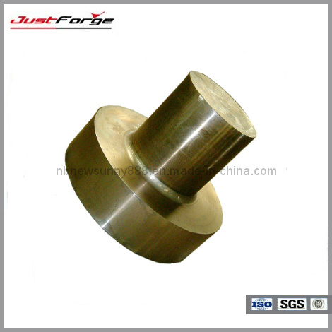 Professional Forging Parts