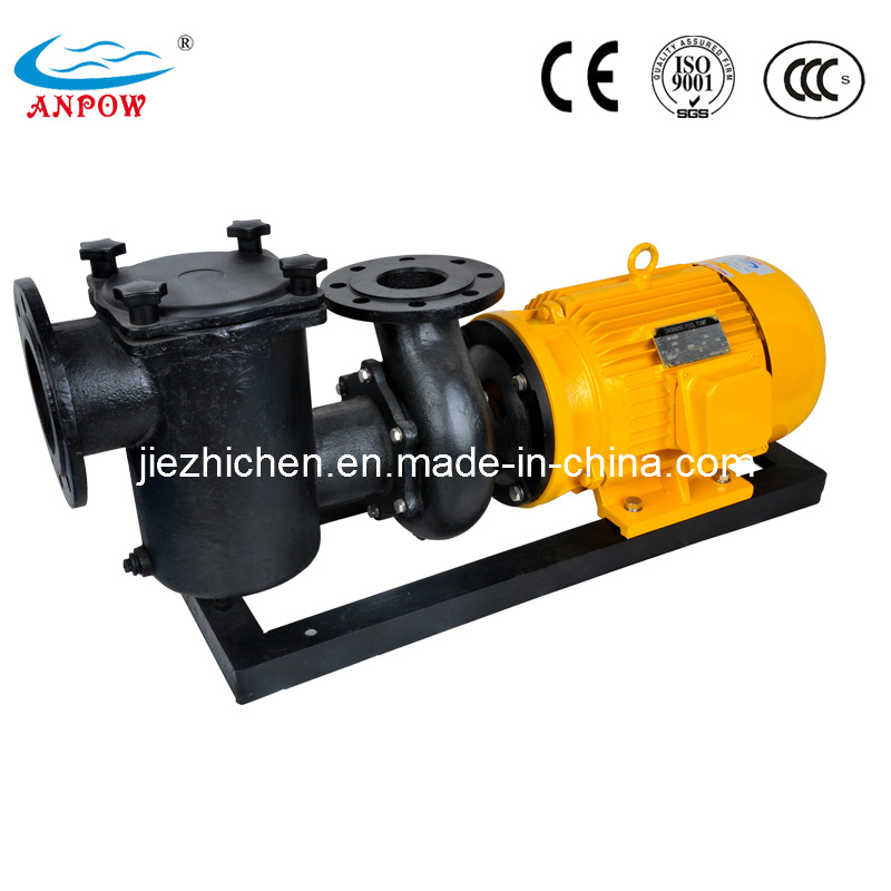 Iron Casting Swimming Pool Circulating Water Pump