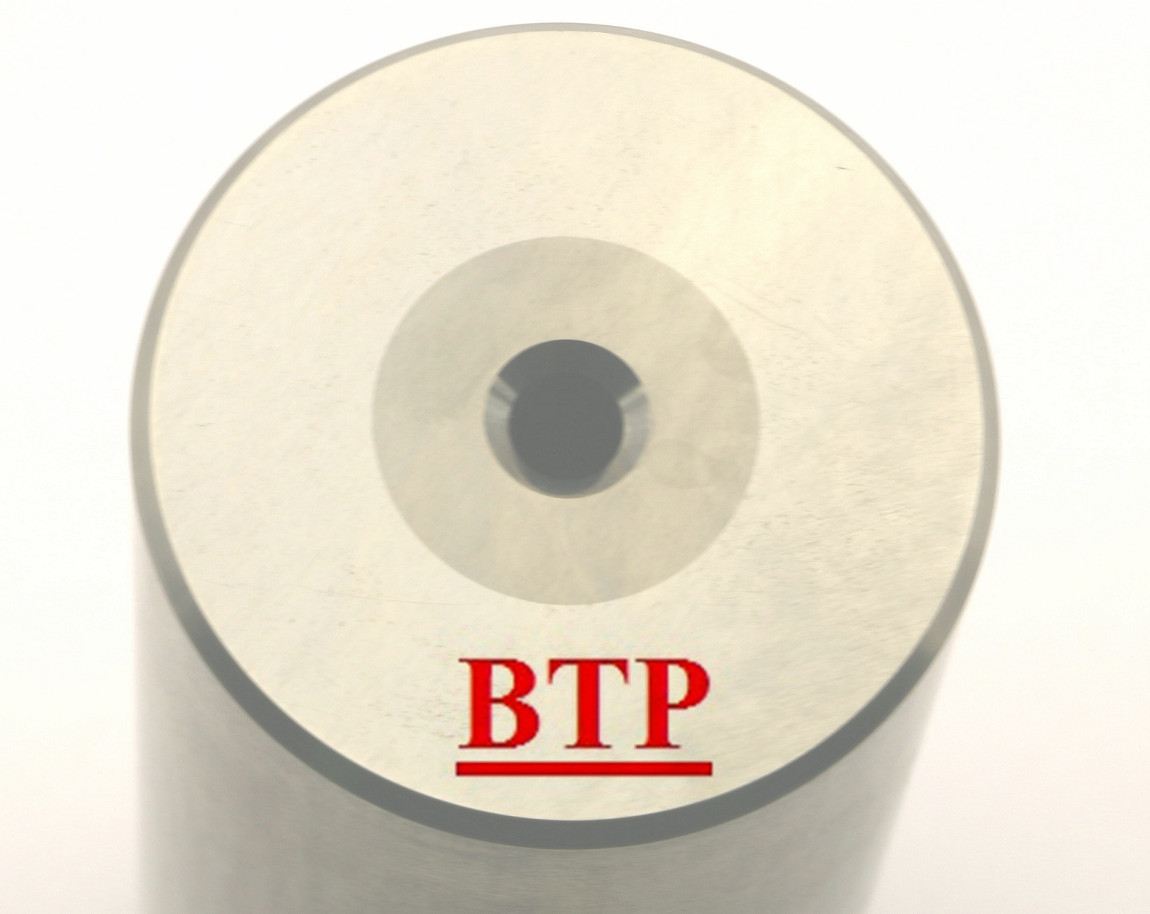 Head Die, Cold Heading Die, Screw Mould, Bolt Mould (BTP-D226)