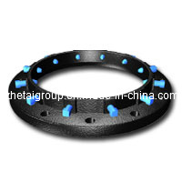 Ductile Iron Flange (ZTS0005)