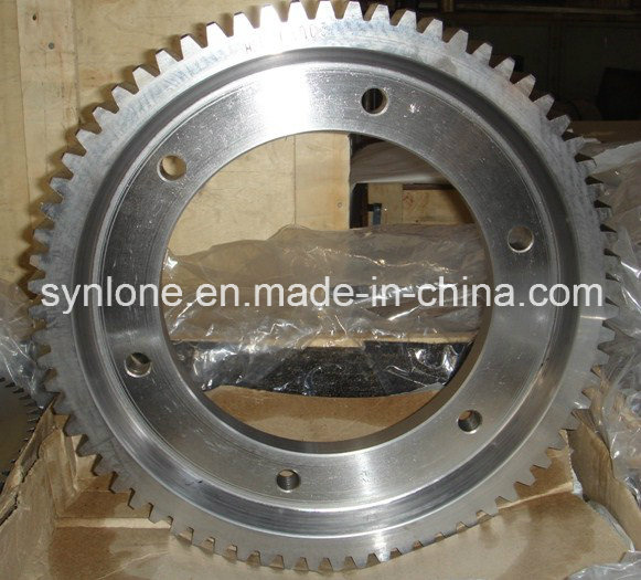 Custom Made Worm Gear with Steel