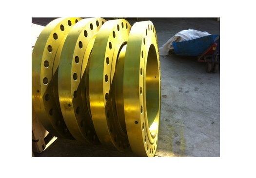 Forged SA82 F51 Flange