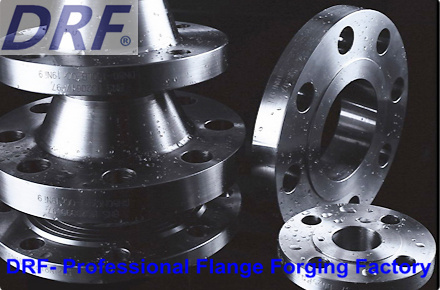 ASME Flange, Forging