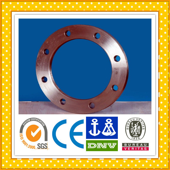 Copper Flange / Bronze Flange