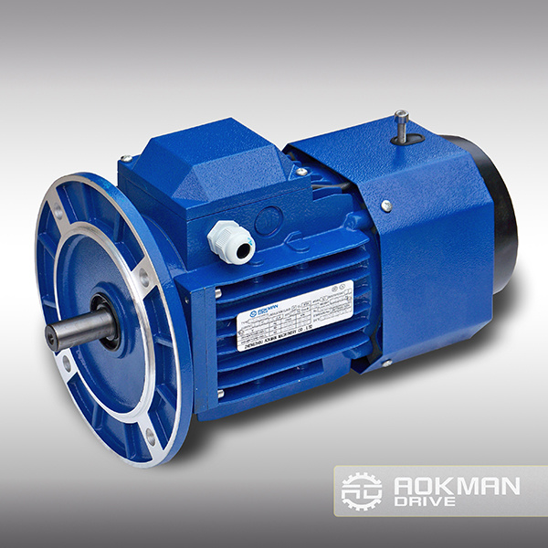 AC Electrical Brake Motor