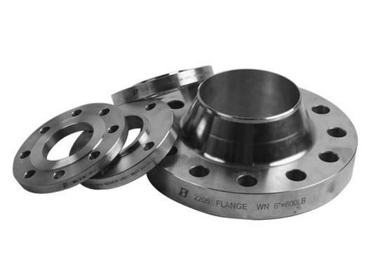 ANSI Flange, Ring Forging Flange, Stainless Flange