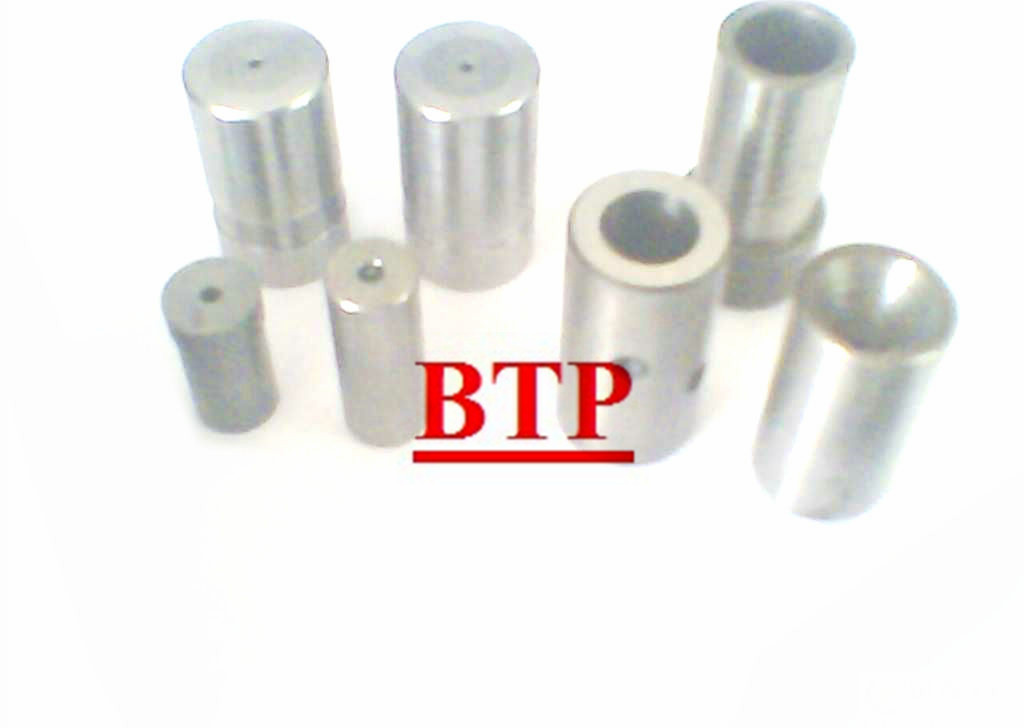 Die Casting Customer Design Tungsten&Alloy Screw Mould (BTP-D240)