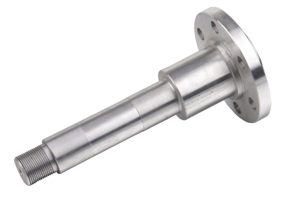 Stainless Steel Flange with Hot Forging for Auto (DR134)