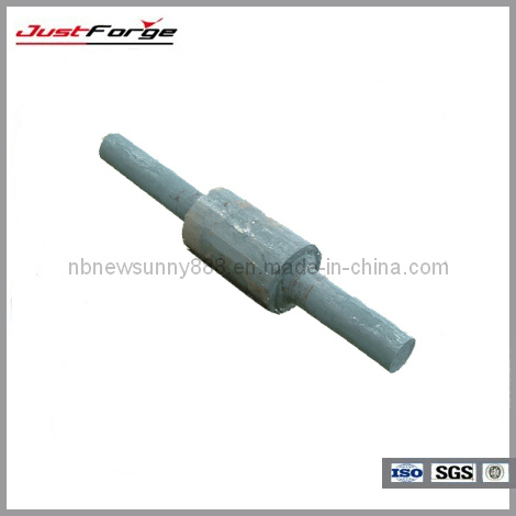 Metal Fabrication Precision Forging Part