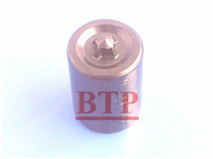 Carbide Cold Forging Tooling for Fasteners (BTP-D144)