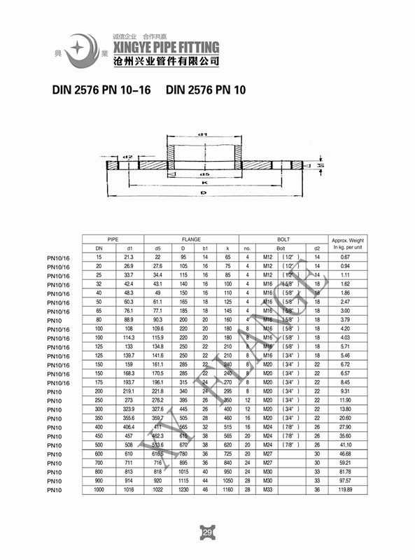 DIN 2576 Pn10 Plate Flange (1/4