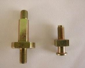 Stainless Steel 316 Cold Forging Bolt Used for Forging Parts